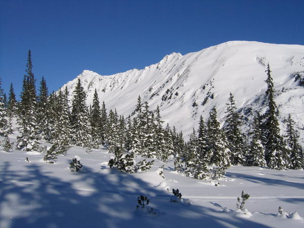 132_wh_planneralm_200401_111.jpg