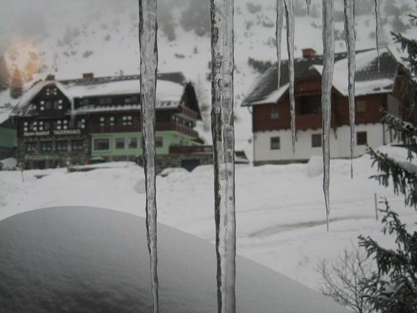 201_wh_planneralm_200401_130.jpg