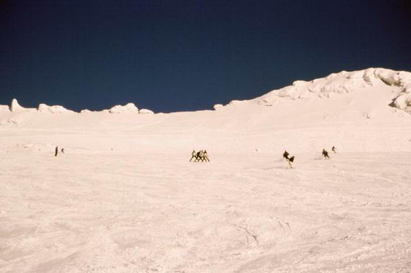 sh_moelltal_200211_110.jpg