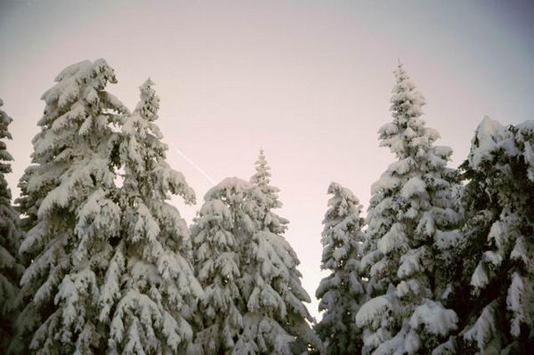 sh_moelltal_200211_113.jpg